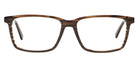 Tortoise_Brown_With_Brown